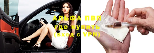 молекула духа Арсеньев
