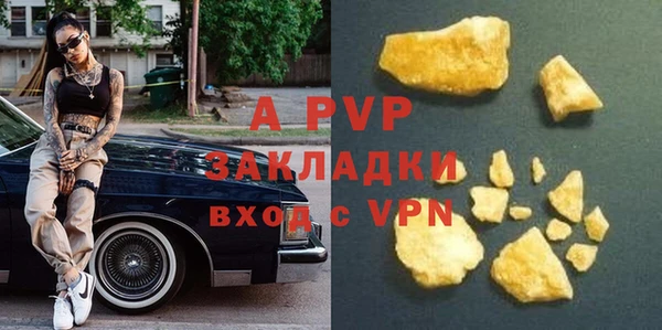 молекула духа Арсеньев