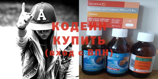 молекула духа Арсеньев
