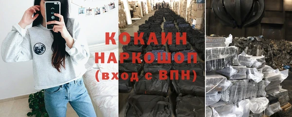 молекула духа Арсеньев