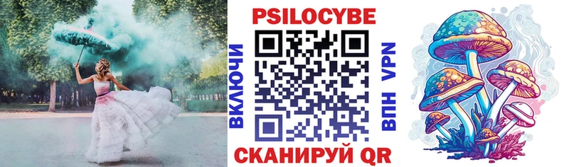 Псилоцибиновые грибы Psilocybe Свирск